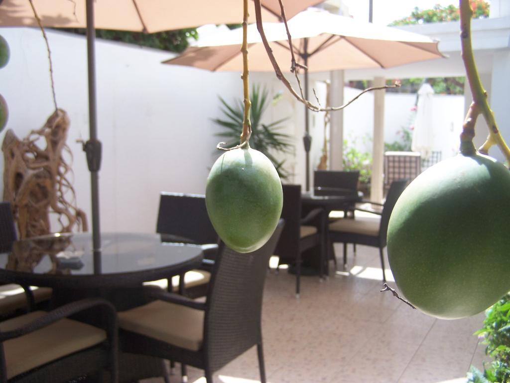 Villa Mermoz Dakar Dış mekan fotoğraf